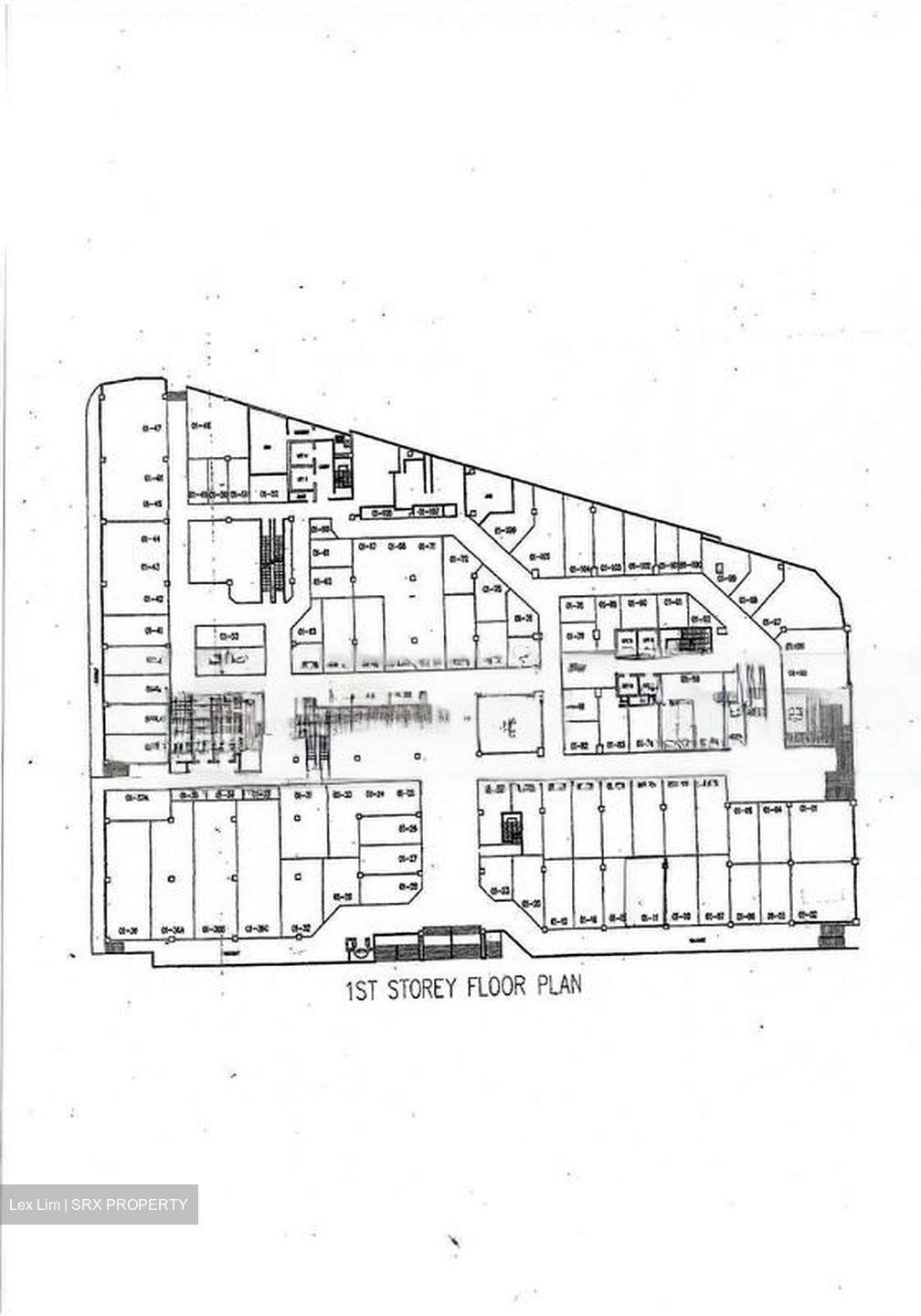 Lucky Plaza (D9), Shop House #453799141